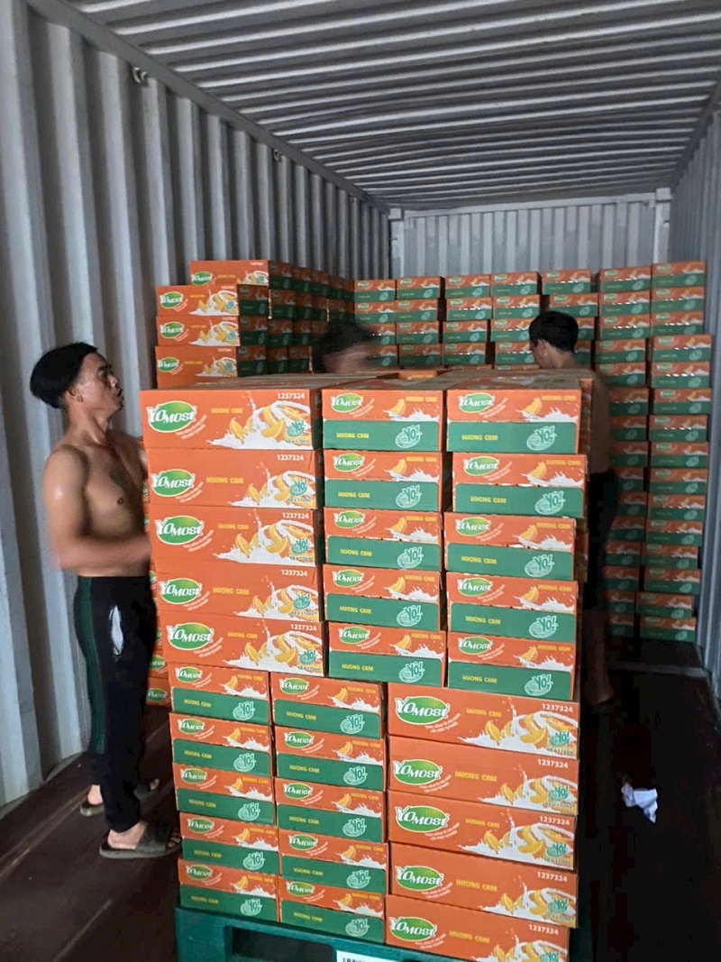 Dịch vụ cho thuê xe Container chở hàng Hưng Yên đi Vũng Tàu an toàn, đúng hẹn.