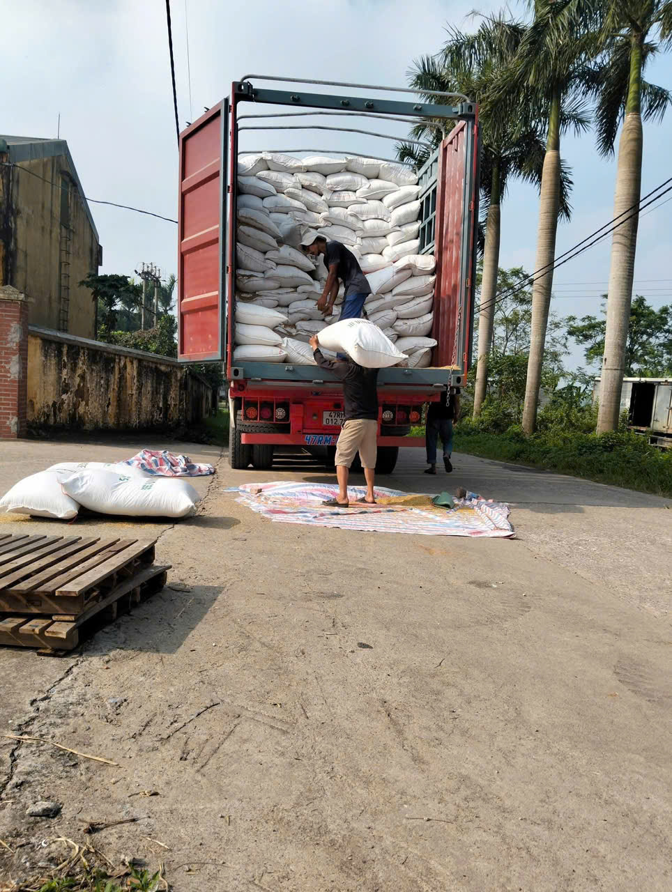 Xe đầu kéo container chở hàng nông sản thực phẩm, lúa gạo ngô đậu, hàng đóng bao nguyên cont, bảo quản khô thoáng, giao đúng lịch bảo hiểm toàn trình Van-chuyen-hang-nong-san-thuc-pham-bang-xe-dau-keo