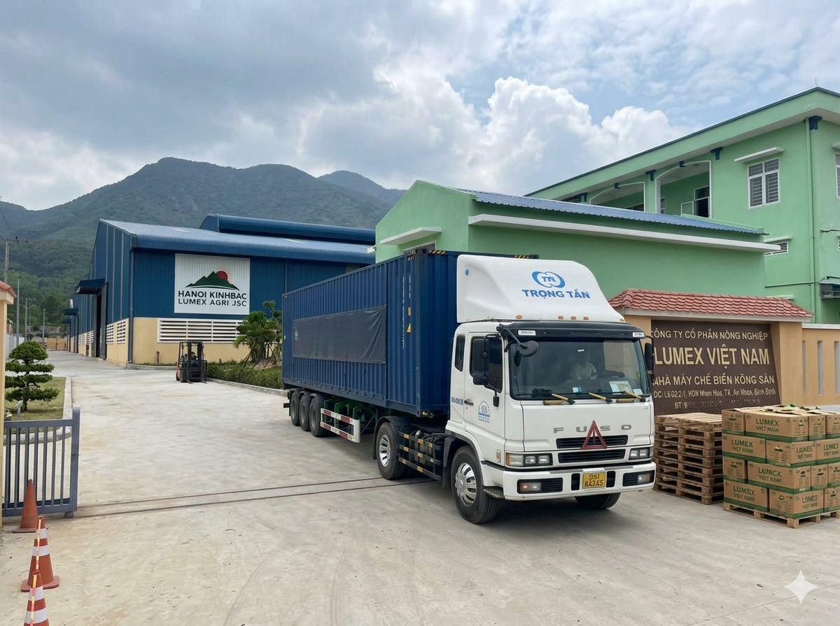 Xe đầu kéo container vận chuyển hàng hóa giao nhận tại KCN Nhơn Hội uy tín nhanh chóng đảm bảo an toàn đúng tiến độ giá cước cạnh tranh toàn quốc Xe-dau-keo-container-giao-hang-tai-KCN-Nhon-Hoi-nhanh-an-toan
