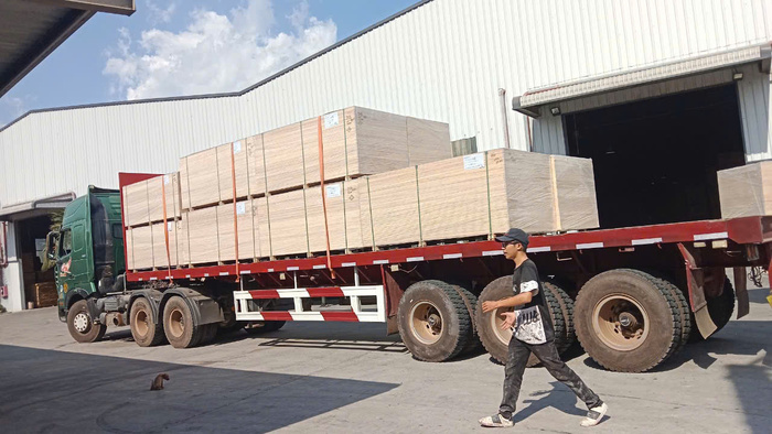 Hàng hóa, bố trí tải trọng cân đối và chằng buộc đúng kỹ thuật trước khi xuất bến, bảo đảm an toàn trong suốt hành trình. hang-hoa-chang-buoc-dung-ky-thuat-truoc-khi-van-chuyen