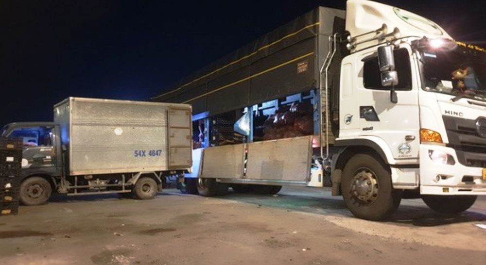Thuê xe tải 15 tấn Vũng Tàu đi Tuyên Quang giúp vận chuyển hàng số lượng lớn, chủ động lịch trình, giao nhận tận nơi và tối ưu chi phí loi-ich-khi-thue-xe-tai-15-tan-van-chuyen-hang-tu-vung-tau-di-tuyen-quang