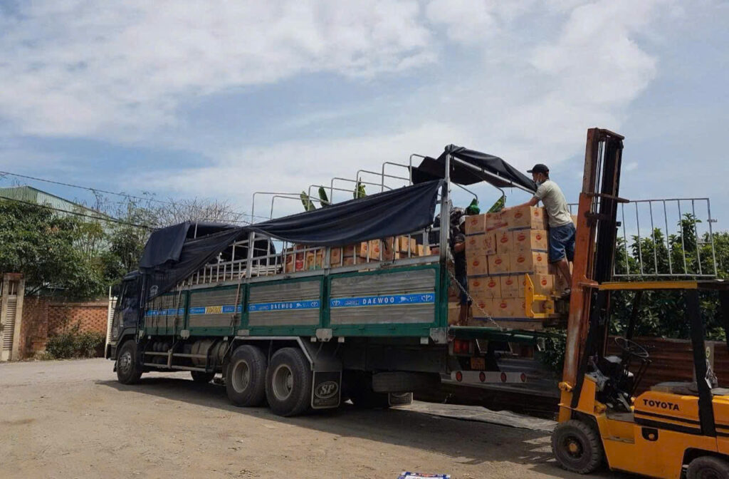 Xe tải 15 tấn vận chuyển hàng đóng bao, hàng đóng thùng và pallet từ Tây Ninh đến khu vực Gia Nghĩa phục vụ kho và nhà máy. xe-tai-15-tan-giao-hang-dong-kien-tu-tay-ninh-den-gia-nghia